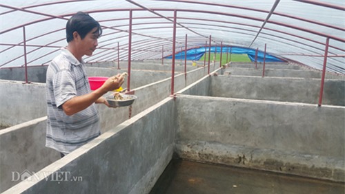 tỷ phú nông dân, nông dân