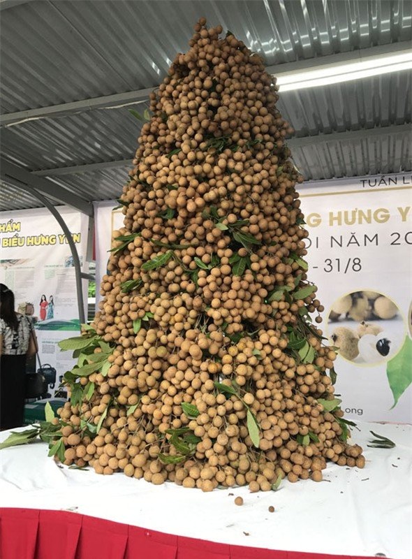 nhãn lồng hưng yên, nhãn lồng, cách phân biệt hoa quả chuẩn xịn