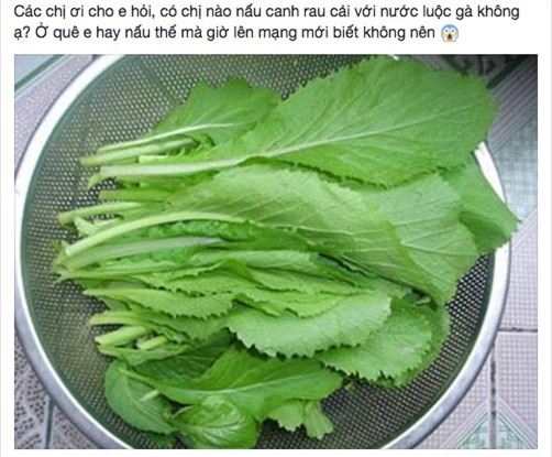 nau rau cai voi nuoc luoc ga, vo bi chong hat do noi canh vi "que anh chang nau the" - 1
