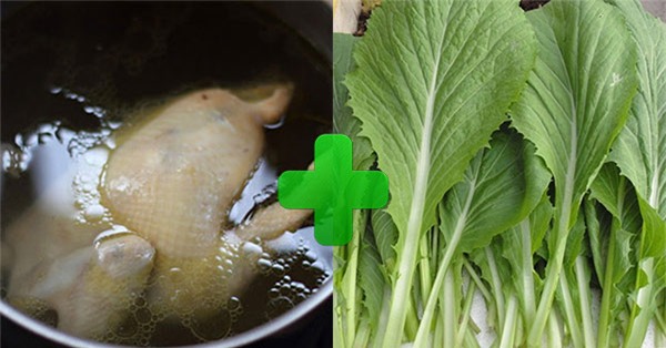 nau rau cai voi nuoc luoc ga, vo bi chong hat do noi canh vi "que anh chang nau the" - 4