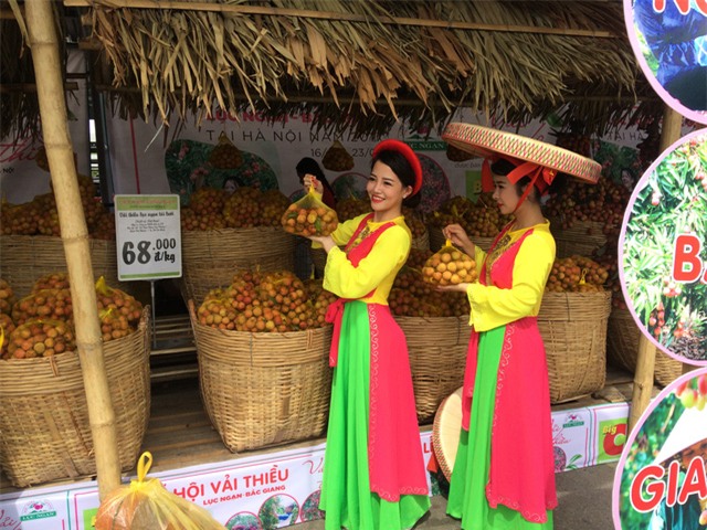 Tuần lễ vải đã diễn ra cách đây hơn 1 tháng