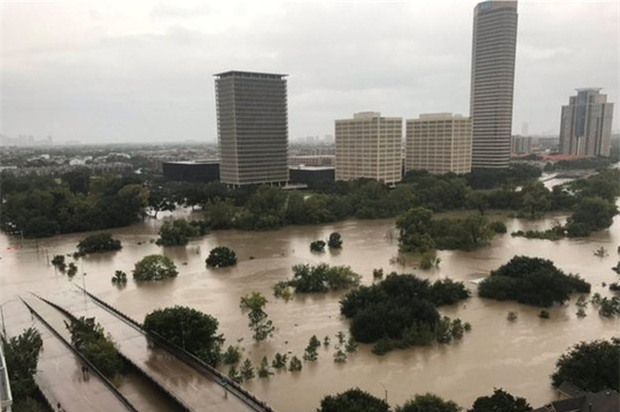Mỹ: Bức ảnh gây sốc trong bão Harvey - Ảnh 5.