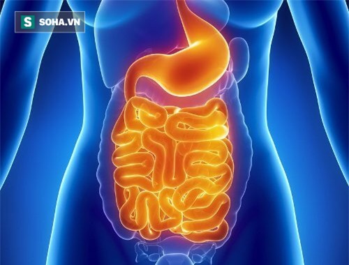 Y học cổ truyền Ấn Độ khuyên bạn uống nước ấm thay cho nước lạnh, đây là lý do - Ảnh 3.