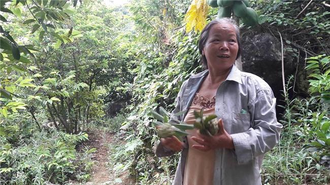 hoc da hoa goc na, nong dan hoa binh kiem bon tien tren nui da hinh anh 3