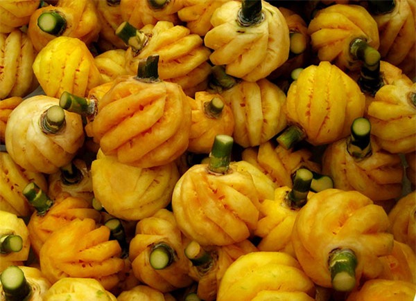 xuat hien dua mini thai lan 70 nghin/kg thom lung ngot lim xon xao sai gon - 10