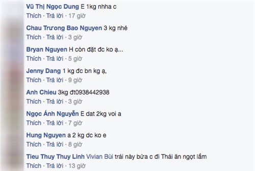 xuat hien dua mini thai lan 70 nghin/kg thom lung ngot lim xon xao sai gon - 5