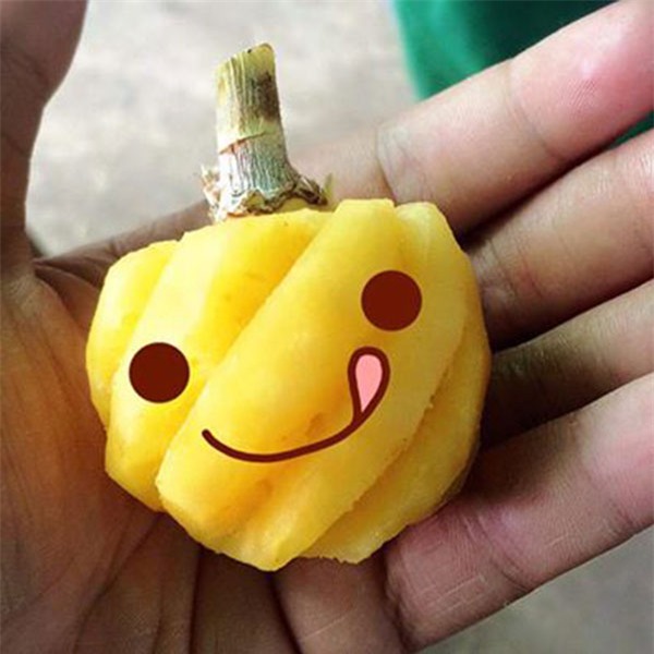 xuat hien dua mini thai lan 70 nghin/kg thom lung ngot lim xon xao sai gon - 8