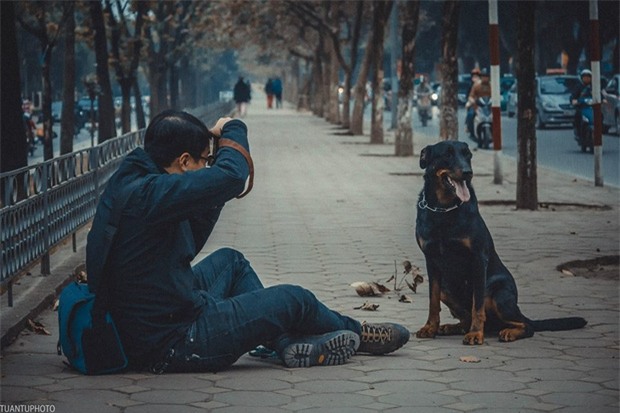 Xót xa cảnh cả đàn chó gắn bó với gia đình suốt 5 năm bị đánh bả chết tại Hà Nội - Ảnh 4.