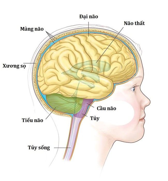 Tinh mang be so sinh bi de doa vi bac si khong xac dinh duoc benh hinh anh 2