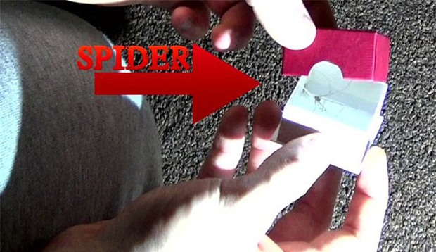 Bạn trai quỳ xuống cầu hôn, cô gái bật khóc cảm động rồi bỗng dưng la hét dữ dội khi mở hộp nhẫn - Ảnh 2.