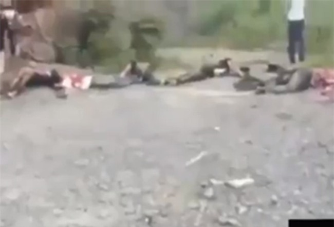 Người phán xử, phim truyền hình, phim Việt Nam