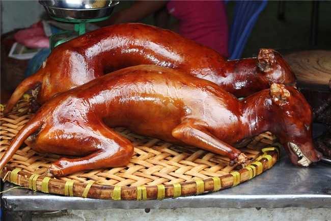 khoc thet voi nhung dac san kinh di nhat the gioi - 5