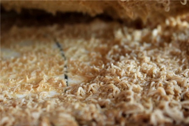 khoc thet voi nhung dac san kinh di nhat the gioi - 9