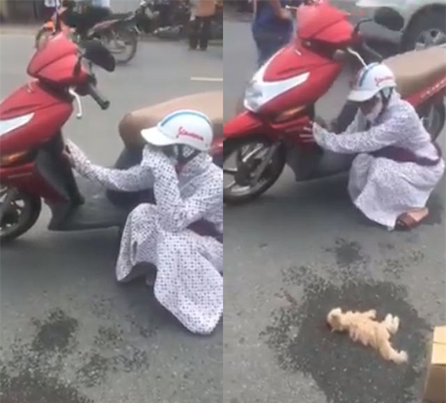 co gai gao khoc vat va giua duong vi meo bi dam chet, moi nguoi xong vao chui... do hoi - 1