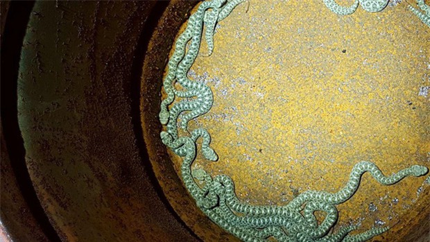 Thấy tiếng động lạ trong nhà đồ chơi của con, bà mẹ tá hỏa phát hiện cả ổ rắn độc - Ảnh 1.