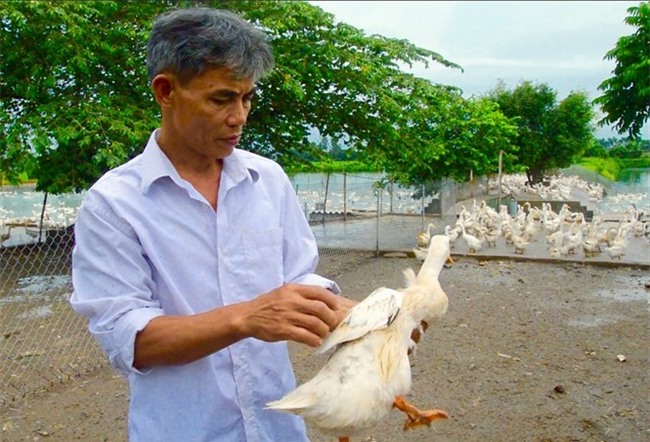 tỷ phú nông dân, nuôi vịt, trứng vịt