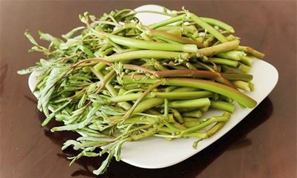 cong dung chua benh tu rau rut neu ban an dung cach - 1