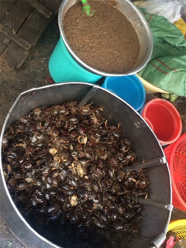 cua đồng, thực phẩm bẩn, canh cua