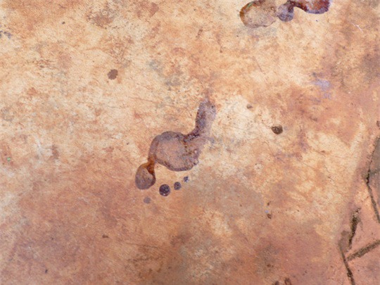 cuoc goi luc nua dem cua co gai tre bi thieu song - 3