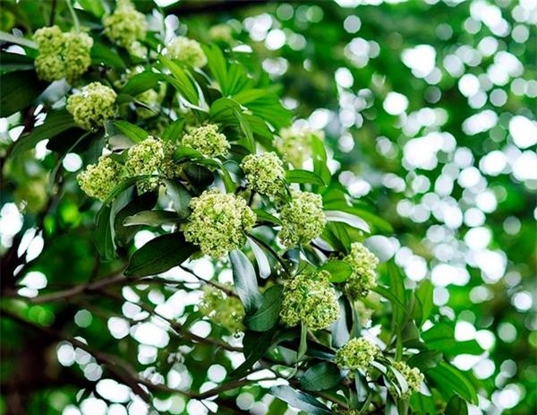 Lời tiên tri tháng 9 dành cho 12 con giáp - Ảnh 2.