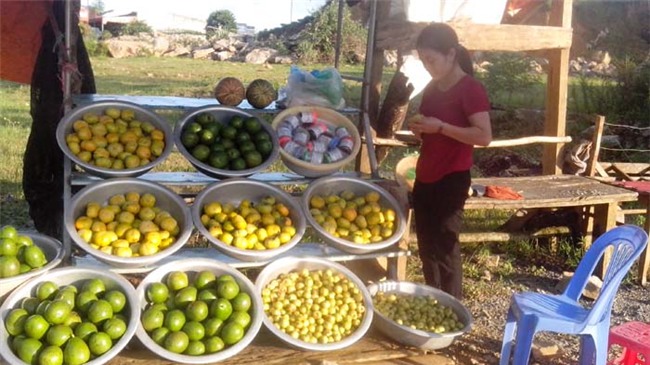 vao mua bo sap moc chau beo ngay, gia cao, ban chay veo veo hinh anh 4