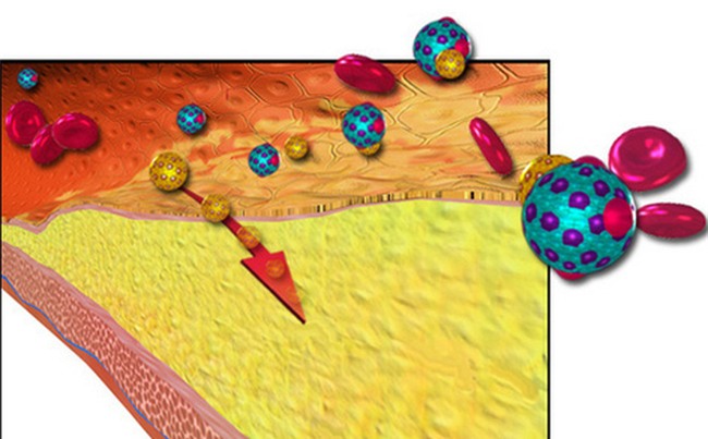 Cholesterol không xấu như ta nghĩ