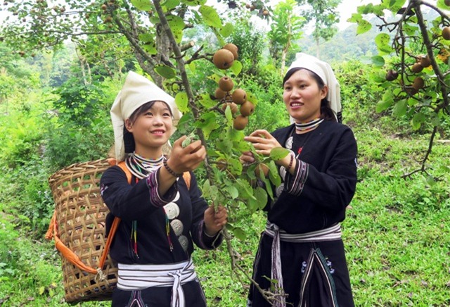 nghi le, vua du lich vua hai le o khu vuon triu qua cao tren 1.000m hinh anh 1