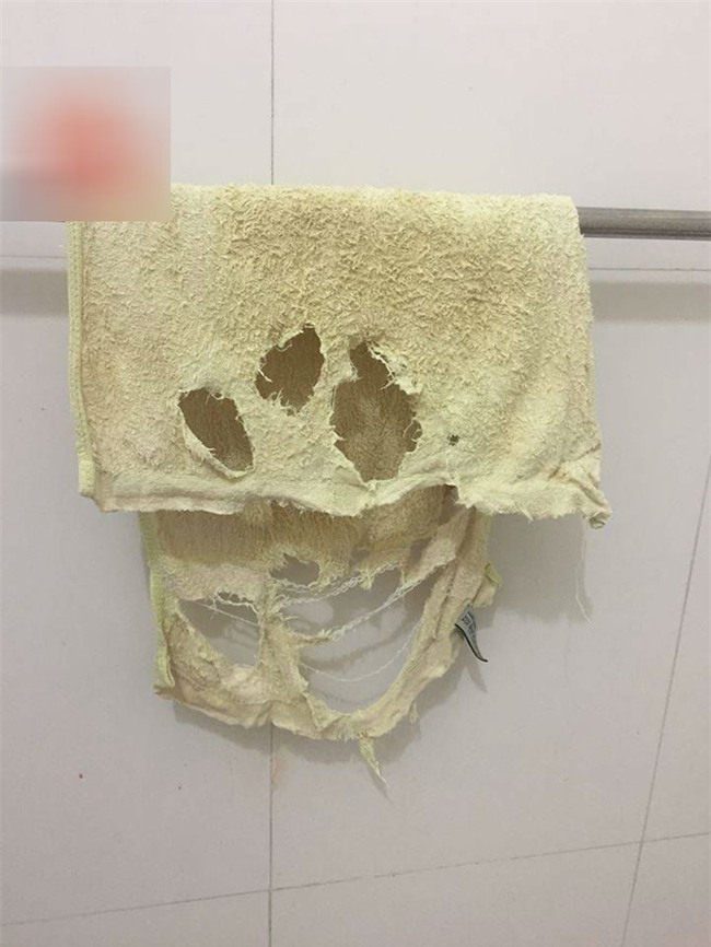 Dùng khăn tắm nát như xơ mướp, chồng không mua mới còn đem lên mạng khoe vì tôi thương vợ - Ảnh 2.