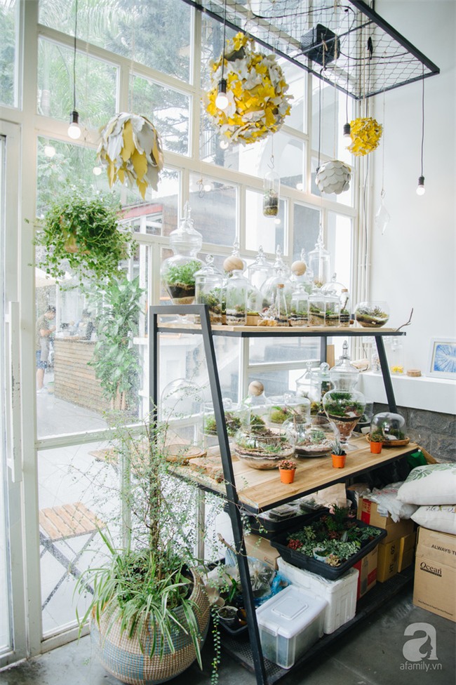 Nghỉ 2/9 nếu không đi đâu xa, check list các quán cafe cực xinh này ở Hà Nội cũng đủ đã rồi! - Ảnh 34.