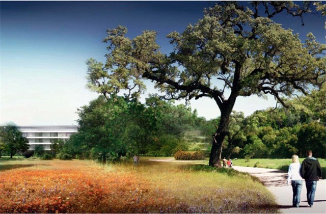 Bên cạnh khu làm việc, trụ sở của Apple còn sở hữu một khuôn viên rất rộng gồm cây cối, thảm cỏ và lối đi bộ.