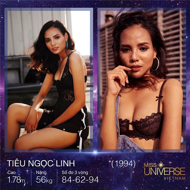 Dan chan dai o at di thi Hoa hau Hoan vu Viet Nam 2017 hinh anh 4