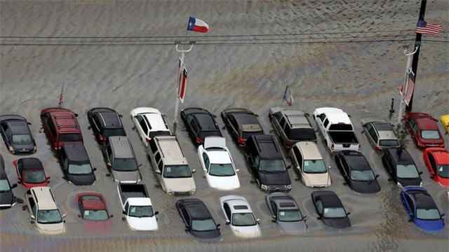 Nhiều xe ô tô đã bị ngập nước trong siêu bão Harvey (Ảnh: Fox Business)