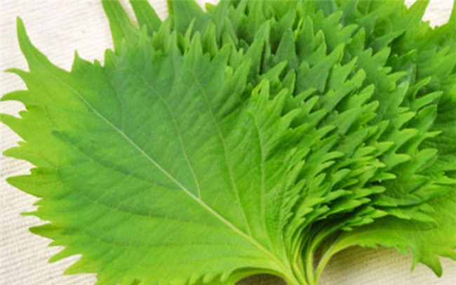 xuất khẩu nông sản, nông sản việt nam, nông sản sạch