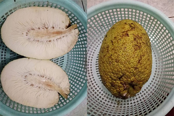 co gai khoc vi bi "lua mua mit", dan mang xem anh lai khen "qua nay cuc ngon" - 1