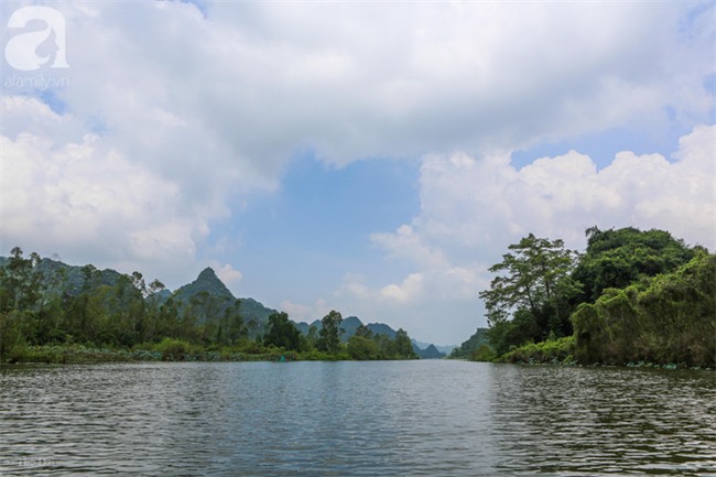 Không cần đi đâu xa, tới chùa Hương ngắm hoa súng đầu mùa đẹp như trong tranh - Ảnh 11.