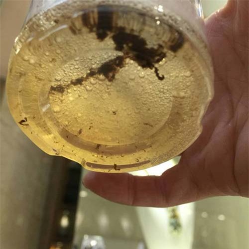 1 qua chanh - 3 cach tay trang rang cuc hieu qua ai cung nen biet - 3