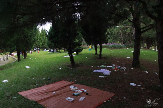 Nhắc nhở người bán hàng, cô lao công ở Đà Lạt nhận lại câu nói: Không xả rác thì lấy việc đâu các cô làm! - Ảnh 3.