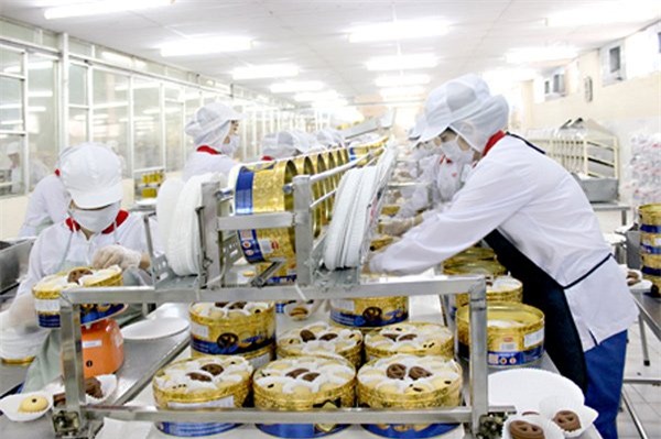 lao động Việt Nam, người Việt, xuất khẩu lao động, việc làm