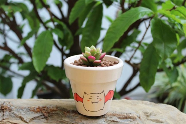 trong cay sen da: vua de song, dep nha lai ruoc day may man tai loc - 2