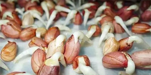 ung thư gan,nguyên nhân gây bệnh ung thư,triệu chứng bệnh ung thư,điều trị bệnh ung thư