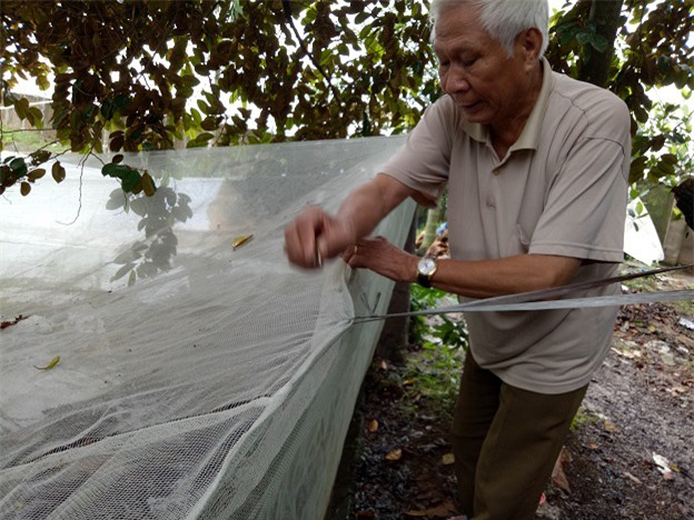 tỷ phú nông dân, nuôi ếch