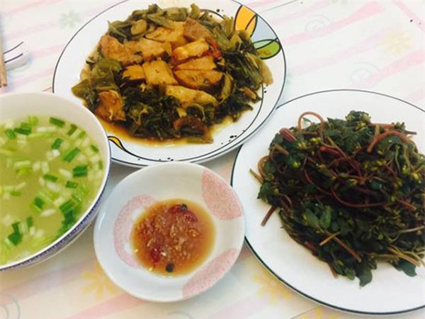 loai rau truong tho the gioi san lung nhung moc day o viet nam, ai cung nen an mot lan - 7