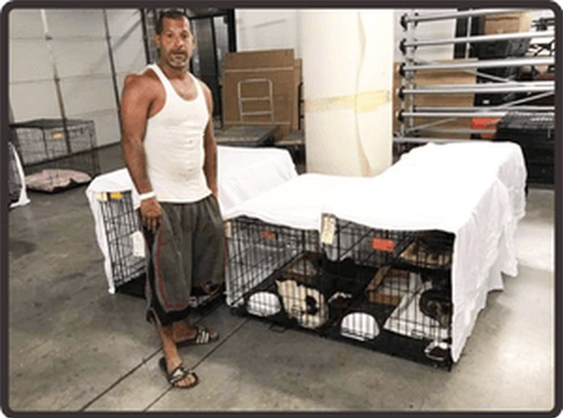 Thay vì bỏ của chạy lấy người khi bão đến, người Mỹ đã chọn sống chết cùng thú cưng vượt qua thiên tai - Ảnh 1.