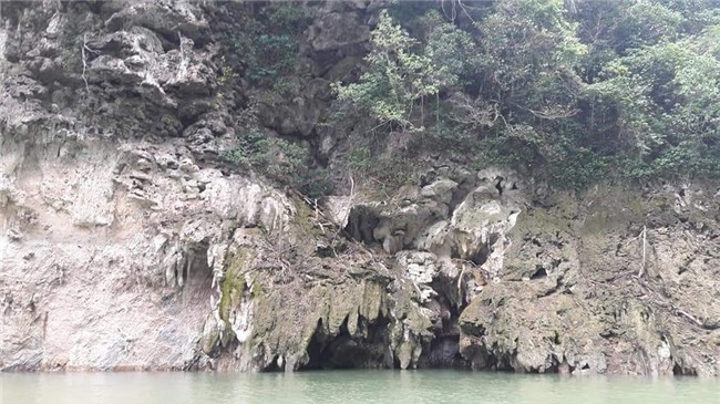 hoc dai hoc xong that nghiep, 