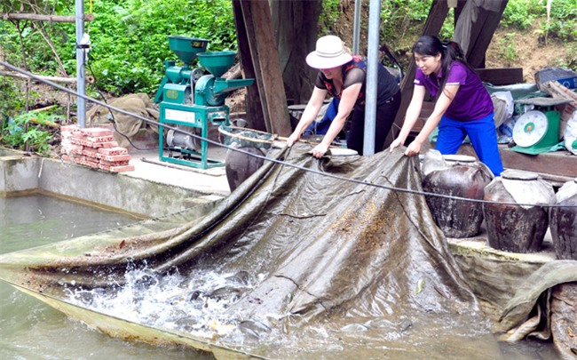 chan buon ban, len lung chung deo, dao ao nuoi ca tien vua hung hinh anh 1