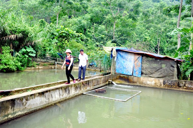 chan buon ban, len lung chung deo, dao ao nuoi ca tien vua hung hinh anh 2