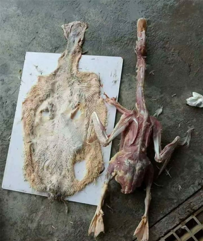 Cười bò với "thực đơn" sáng tạo, bá đạo, khó ăn của chàng trai trẻ - 4