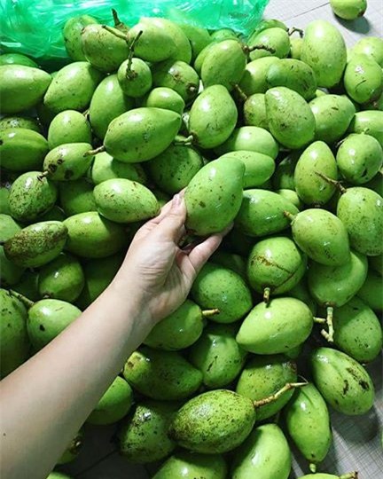 xoài bao tử, hoa quả Việt Nam, món ăn vặt, món ăn vặt ngon,