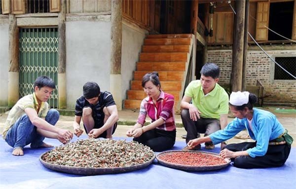 tỷ phú nông dân, làm giàu