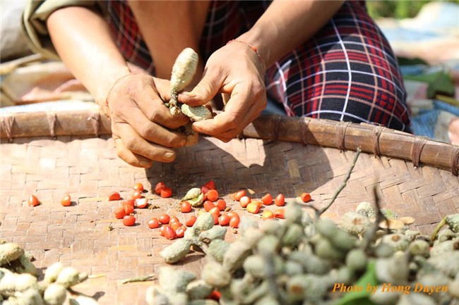 tỷ phú nông dân, làm giàu
